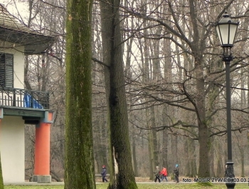 SENIORKI I SENIORZY  - WYSTARTOWALIŚMY! - zdjęcie17