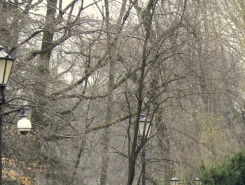 SENIORKI I SENIORZY  - WYSTARTOWALIŚMY! - zdjęcie16