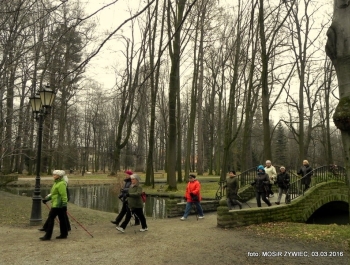 SENIORKI I SENIORZY  - WYSTARTOWALIŚMY! - zdjęcie14