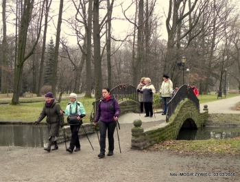 SENIORKI I SENIORZY  - WYSTARTOWALIŚMY! - zdjęcie12