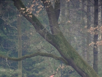 SENIORKI I SENIORZY  - WYSTARTOWALIŚMY! - zdjęcie1