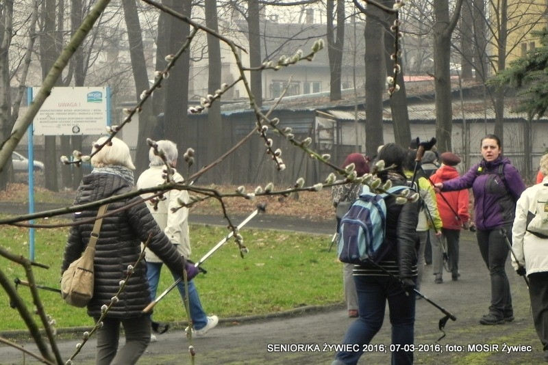 SENIORKI I SENIORZY - PROJEKT TRWA. ZAPRASZAMY!