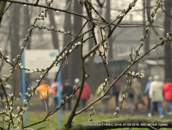 SENIORKI I SENIORZY - PROJEKT TRWA. ZAPRASZAMY! - zdjęcie6