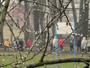 SENIORKI I SENIORZY - PROJEKT TRWA. ZAPRASZAMY! - zdjęcie5