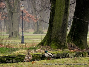 SENIORKI I SENIORZY - PROJEKT TRWA. ZAPRASZAMY! - zdjęcie3