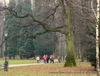 SENIORKI I SENIORZY - PROJEKT TRWA. ZAPRASZAMY! - zdjęcie2