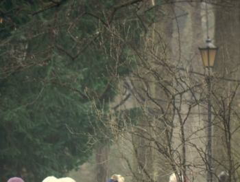 SENIORKI I SENIORZY - PROJEKT TRWA. ZAPRASZAMY! - zdjęcie1