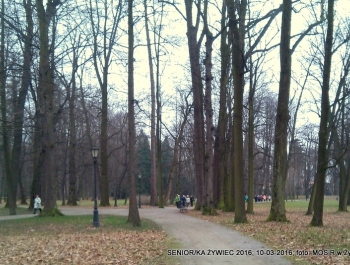 SENIOR/KA ŻYWIEC 2016 - PARK PRZYWITAŁ NAS PIĘKNYMI WIDOKAMI. - zdjęcie10