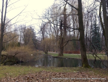 SENIOR/KA ŻYWIEC 2016 - PARK PRZYWITAŁ NAS PIĘKNYMI WIDOKAMI. - zdjęcie2