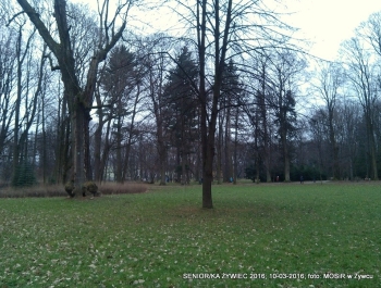 SENIOR/KA ŻYWIEC 2016 - PARK PRZYWITAŁ NAS PIĘKNYMI WIDOKAMI. - zdjęcie1