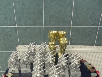 POWIATOWA LIGA PŁYWACKA 2015/2016 II SEZON, IV edycja FINAŁ! PODSUMOWANIE - zdjęcie16