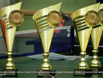 ROZSTRZYGNIĘCIE TURNIEJU GRAND PRIX W TENISIE STOŁOWYM O PUCHAR BURMISTRZA MIASTA ŻYWCA - zdjęcie24