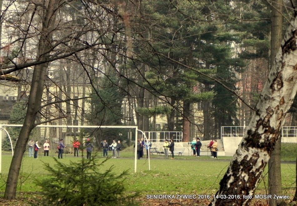 SENIOR/KA ŻYWIEC 2016 MA SIĘ DOSKONALE!