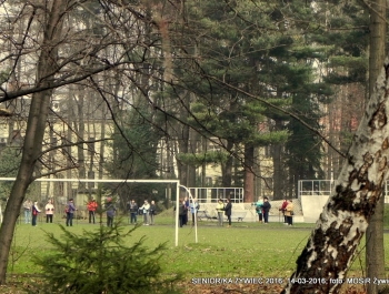 SENIOR/KA ŻYWIEC 2016 MA SIĘ DOSKONALE! - zdjęcie8