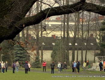 SENIOR/KA ŻYWIEC 2016 MA SIĘ DOSKONALE! - zdjęcie7