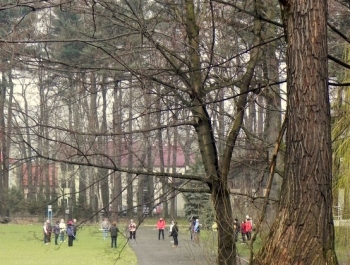 SENIOR/KA ŻYWIEC 2016 MA SIĘ DOSKONALE! - zdjęcie6