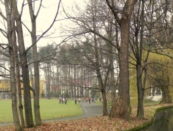 SENIOR/KA ŻYWIEC 2016 MA SIĘ DOSKONALE! - zdjęcie5