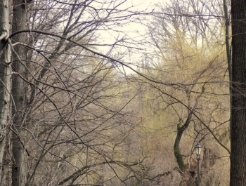 SENIOR/KA ŻYWIEC 2016 MA SIĘ DOSKONALE! - zdjęcie3