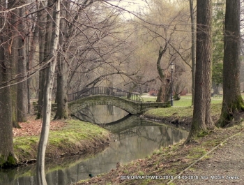 SENIOR/KA ŻYWIEC 2016 MA SIĘ DOSKONALE! - zdjęcie2