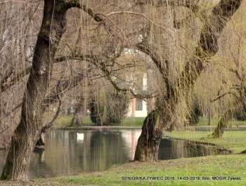 SENIOR/KA ŻYWIEC 2016 MA SIĘ DOSKONALE! - zdjęcie1