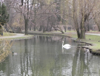 AKTYWNE POWITANIE WIOSNY! - zdjęcie19