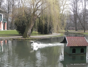 AKTYWNE POWITANIE WIOSNY! - zdjęcie17