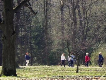 SENIOR/KA ŻYWIEC 2016  - WIOSNA W PARKU - zdjęcie19