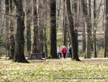 SENIOR/KA ŻYWIEC 2016  - WIOSNA W PARKU - zdjęcie18