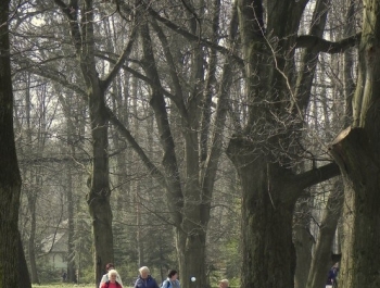 SENIOR/KA ŻYWIEC 2016  - WIOSNA W PARKU - zdjęcie16