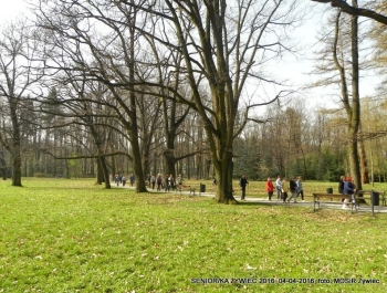 SENIOR/KA ŻYWIEC 2016  - WIOSNA W PARKU - zdjęcie15