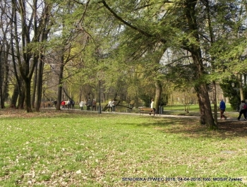 SENIOR/KA ŻYWIEC 2016  - WIOSNA W PARKU - zdjęcie12