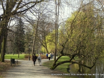 SENIOR/KA ŻYWIEC 2016  - WIOSNA W PARKU - zdjęcie10