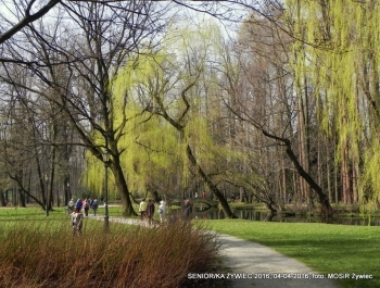 SENIOR/KA ŻYWIEC 2016  - WIOSNA W PARKU - zdjęcie9