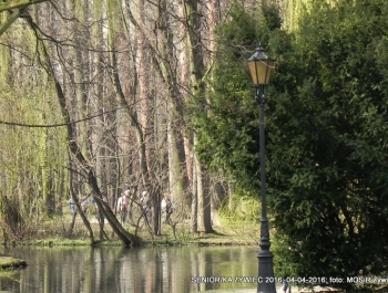 SENIOR/KA ŻYWIEC 2016  - WIOSNA W PARKU - zdjęcie8