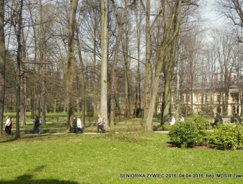 SENIOR/KA ŻYWIEC 2016  - WIOSNA W PARKU - zdjęcie5