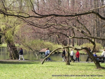 SENIOR/KA ŻYWIEC 2016  - WIOSNA W PARKU - zdjęcie4