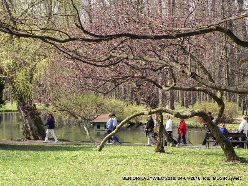 SENIOR/KA ŻYWIEC 2016  - WIOSNA W PARKU