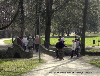 SENIOR/KA ŻYWIEC 2016  - WIOSNA W PARKU - zdjęcie2