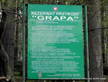 ZWIEDZAJ ŻYWIEC! rezerwat przyrody Grapa - zdjęcie22
