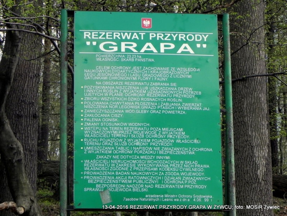 ZWIEDZAJ ŻYWIEC! rezerwat przyrody Grapa