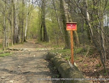 ZWIEDZAJ ŻYWIEC! rezerwat przyrody Grapa - zdjęcie21