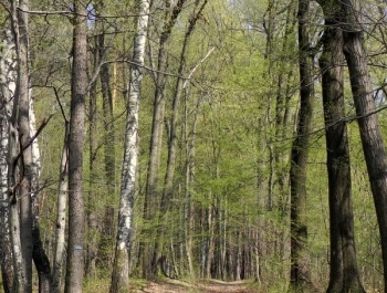 ZWIEDZAJ ŻYWIEC! rezerwat przyrody Grapa - zdjęcie20