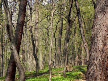 ZWIEDZAJ ŻYWIEC! rezerwat przyrody Grapa - zdjęcie17
