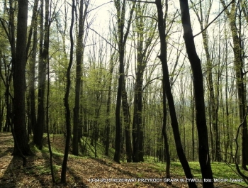 ZWIEDZAJ ŻYWIEC! rezerwat przyrody Grapa - zdjęcie12
