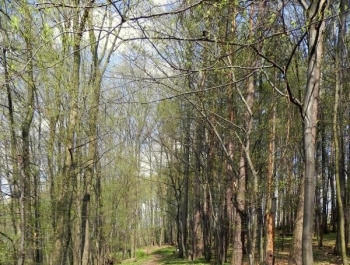 ZWIEDZAJ ŻYWIEC! rezerwat przyrody Grapa - zdjęcie11