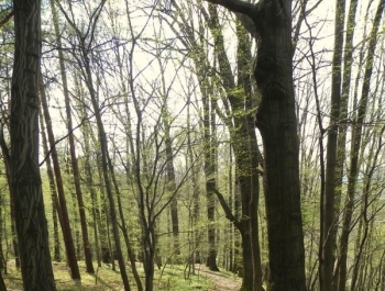 ZWIEDZAJ ŻYWIEC! rezerwat przyrody Grapa - zdjęcie4