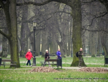 CO WIEMY O SENIOR(k)ACH W ŻYWCU? - zdjęcie11