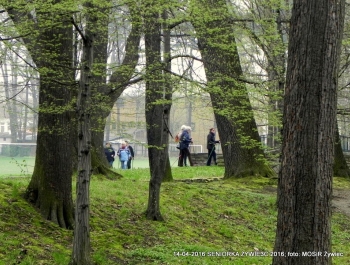 CO WIEMY O SENIOR(k)ACH W ŻYWCU? - zdjęcie10