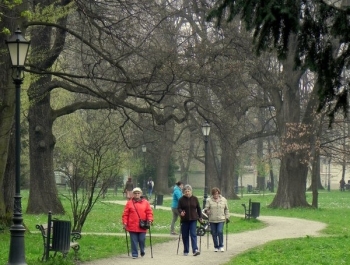 CO WIEMY O SENIOR(k)ACH W ŻYWCU? - zdjęcie9