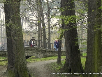 CO WIEMY O SENIOR(k)ACH W ŻYWCU? - zdjęcie8